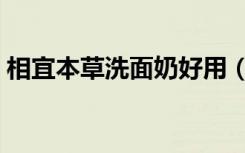 相宜本草洗面奶好用（相宜本草竹炭洗面奶）