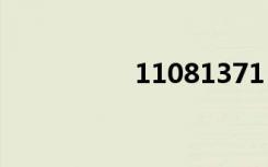 11081371（110813）