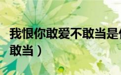 我恨你敢爱不敢当是什么歌曲（我恨你敢爱不敢当）