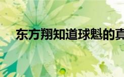 东方翔知道球魁的真实身份（球魁是谁）