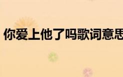 你爱上他了吗歌词意思（你爱上他了吗歌词）