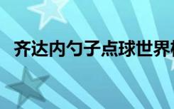 齐达内勺子点球世界杯（齐达内勺子点球）
