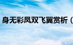 身无彩凤双飞翼赏析（身无彩凤双飞翼全诗）
