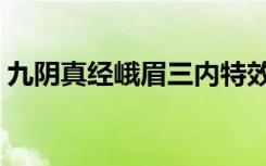 九阴真经峨眉三内特效（九阴真经峨眉三内）