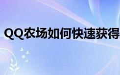 QQ农场如何快速获得金币（qq农场刷金币）