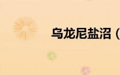 乌龙尼盐沼（乌龙泥盐沼）