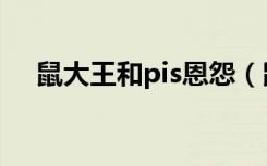 鼠大王和pis恩怨（鼠大王和pis谁厉害）