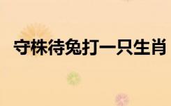 守株待兔打一只生肖（守株待兔打一生肖）