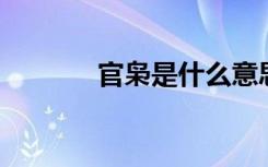 官枭是什么意思 八字（官枭）