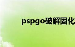 pspgo破解固化（psp go 破解）