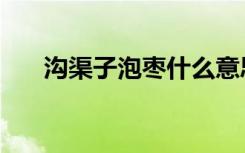 沟渠子泡枣什么意思（泡枣什么意思）