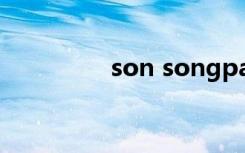 son songpaisarn的照片