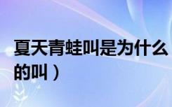 夏天青蛙叫是为什么（夏天青蛙为什么会呱呱的叫）