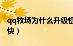 qq牧场为什么升级慢（qq牧场养什么升级最快）