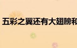 五彩之翼还有大翅膀和小翅膀嘛（五彩之翼）