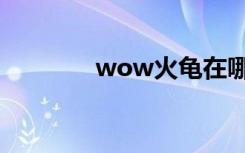 wow火龟在哪（wow火龟）