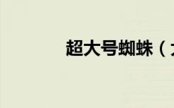 超大号蜘蛛（大蜘蛛序列号）
