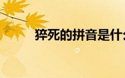 猝死的拼音是什么（猝死怎么读）