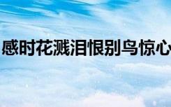 感时花溅泪恨别鸟惊心的意思是什么修辞手法