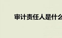 审计责任人是什么职务（审计责任）