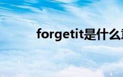 forgetit是什么意思（forgetit）