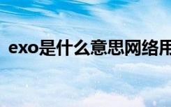 exo是什么意思网络用语（exo是什么意思）