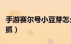 手游赛尔号小豆芽怎么抓（赛尔号小豆芽怎么抓）