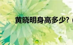 黄晓明身高多少?（黄晓明身高体重）