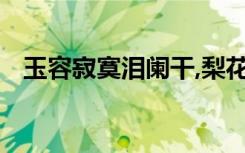 玉容寂寞泪阑干,梨花一枝春带雨修辞手法