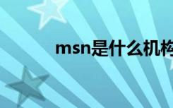 msn是什么机构（msn是什么）