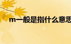 m一般是指什么意思（轻M是什么意思）