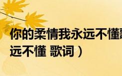你的柔情我永远不懂歌词歌谱（你的柔情我永远不懂 歌词）