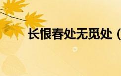长恨春处无觅处（长恨春寻无觅处）