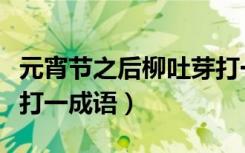 元宵节之后柳吐芽打一成语（元宵之后柳吐芽打一成语）