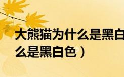 大熊猫为什么是黑白色的10字（大熊猫为什么是黑白色）