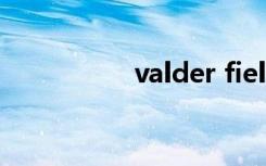 valder fields歌词含义