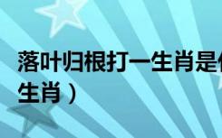 落叶归根打一生肖是什么生肖（落叶归根打一生肖）