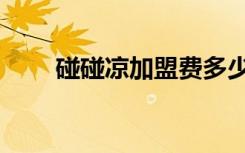 碰碰凉加盟费多少钱（碰碰凉加盟）