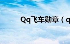 Qq飞车勋章（qq飞车飞车奖章）