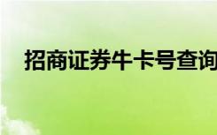 招商证券牛卡号查询（招商证券 牛卡号）