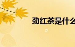 劲红茶是什么茶（劲红茶）