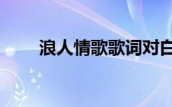 浪人情歌歌词对白（浪人情歌歌词）