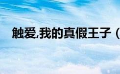 触爱,我的真假王子（触爱 我的真假王子）