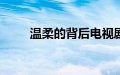 温柔的背后电视剧（温柔的背后3）