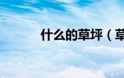 什么的草坪（草坪指的是什么）