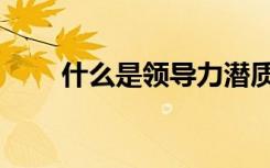 什么是领导力潜质（什么是领导力）
