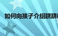 如何向孩子介绍跷跷板原理（跷跷板原理）