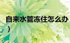 自来水管冻住怎么办（自来水管冻住解决方法）