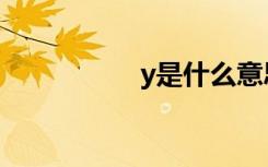 y是什么意思（y解释）