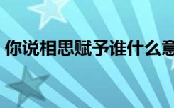 你说相思赋予谁什么意思（你说相思赋予谁）